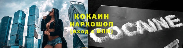 прущий лед Арсеньев