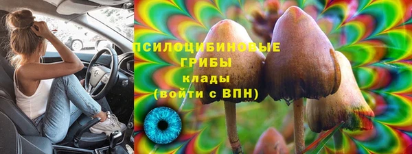 прущий лед Арсеньев